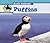 Puffins (Arctic Animals)