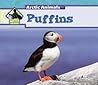Puffins by Julie Murray