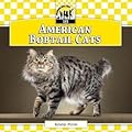 American Bobtail Cats