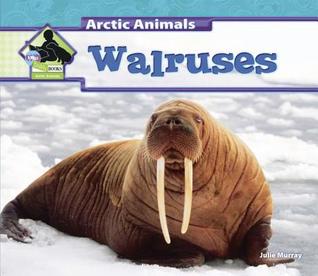 Walruses (Arctic Animals)