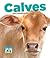 Calves (Baby Animals)