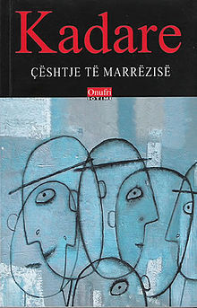 Çështje të marrëzisë (Paperback)
