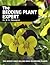 The Bedding Plant Expert (T...