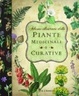 Atlante illustrato delle piante medicinali e curative (Hardcover)