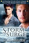 Storm Surge (The Sweet Spot Series) Storm Surge (The Sweet Spot Series)