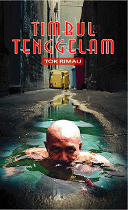 Timbul Tenggelam (Paperback)