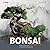 Landschaften gestalten mit Bonsai. Anleitung zu 17 Bonsai-Min... by Su Chin Ee