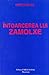 Intoarcerea lui Zamolxe Tărâmul Fericirii (Octogon #13)
