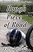 Rough Piece of Road