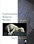 Understanding Religious Sac...