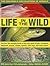 The Children's Encyclopedia of Animals: Life In The Wild: Discover the amazing world of big cats, birds of prey, crocodiles, elephants, insects, spiders, snakes, wild dogs and many others