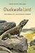 Chuckwalla Land by David Rains Wallace