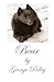 Bear: The Story of a Boy & His Very Unusual Dog