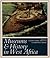 Museums and History in West Africa (West African Museums Programme)