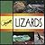 LIZARDS