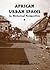 African Urban Spaces in Historical Perspective (Rochester Stu... by Steven J. Salm