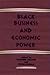 Black Business and Economic Power (Rochester Studies in African History and the Diaspora) (Volume 11)