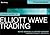 Visual Guide to Elliott Wave Trading by Wayne Gorman