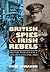 British Spies and Irish Rebels: British Intelligence and Ireland, 1916 - 1945