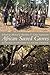 African Sacred Groves: Ecological Dynamics and Social Change