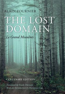Cover of The Lost Domain