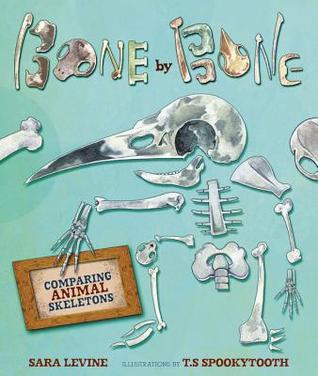 Bone by Bone: Comparing Animal Skeletons (Animal by Animal)
