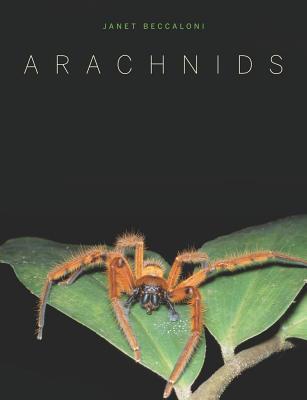 Arachnids (Hardcover)