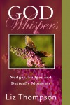 God Whispers: Nudges, Fudges and Butterfly Moments