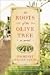 The Roots of the Olive Tree by Courtney Miller Santo
