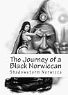 The journey of a black norwiccan