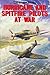 Hurricane and Spitfire Pilots at War