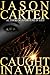 Caught In A Web by Jason  Carter