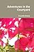 Adventures in the Courtyard by Suzzette Dawes