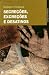 Secreções, Excreções e Desatinos
