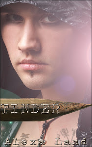 Tinder (The Tinder Chronicles, #1)