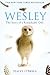 Wesley by Stacey O'Brien Wesley by Stacey O'Brien