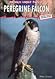 Peregrine Falcon by Mike Unwin