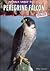 Peregrine Falcon: Saved from Extinction! (Animals Under Threat)