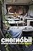 Chernobil 25 años después