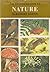 An Introduction to Nature