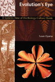 Evolution's Eye: A Systems View of the Biology-Culture Divide