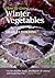 How to Grow Winter Vegetables by Charles Dowding