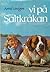 Vi på Saltkråkan by Astrid Lindgren