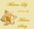 Mistress Lily by Melissa Silvey