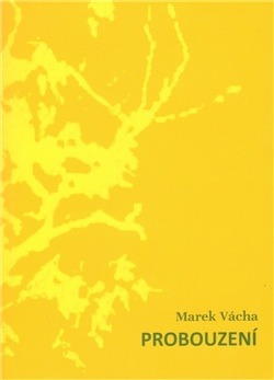 Probouzení (Paperback)