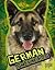 German Shepherds