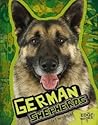 German Shepherds