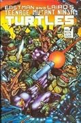Teenage Mutant Ninja Turtles #7