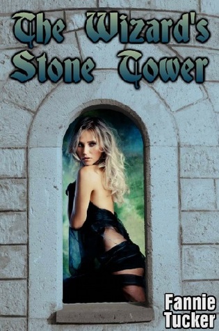 The Wizard's Stone Tower (Kindle Edition)