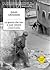 La guerra che non si può vincere: Cronache dal conflitto tra israeliani e palestinesi